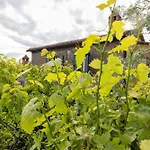 Villa Casetta Del Glicine Cortona