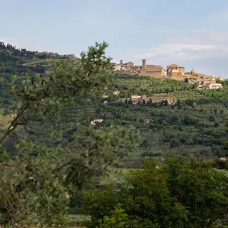 Casetta Del Glicine *