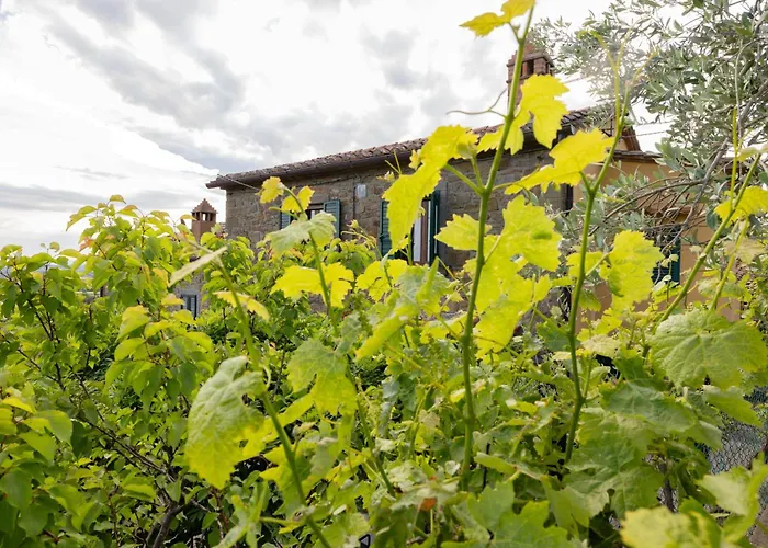 Villa Casetta Del Glicine Cortona