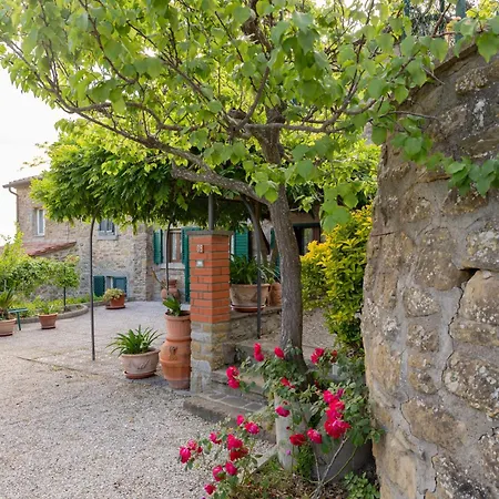 Casetta Del Glicine Cortona