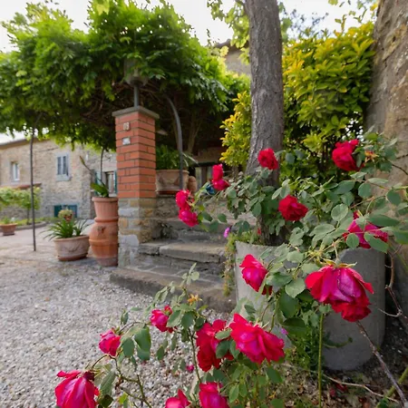 Casetta Del Glicine *