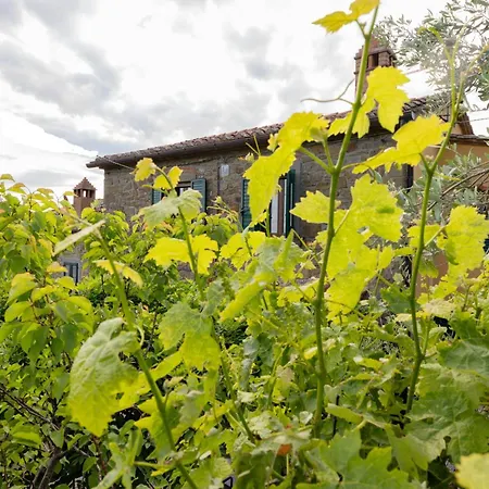 Villa Casetta Del Glicine Cortona