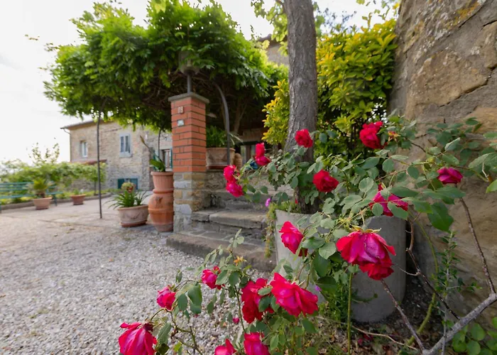 Casetta Del Glicine *